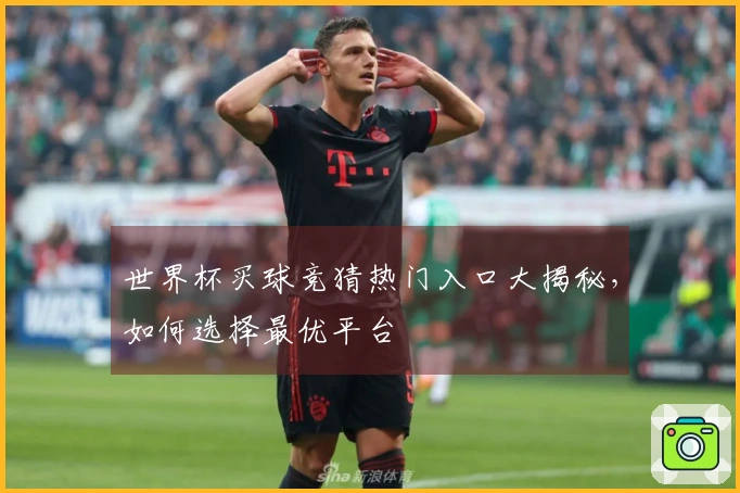 世界杯买球竞猜热门入口大揭秘，如何选择最优平台