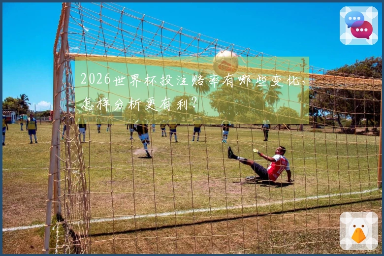 2026世界杯投注赔率有哪些变化，怎样分析更有利？