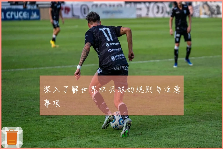 深入了解世界杯买球的规则与注意事项