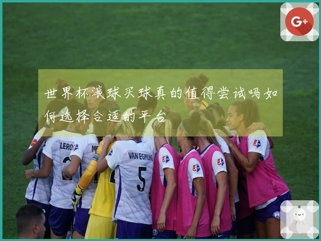 世界杯滚球买球真的值得尝试吗如何选择合适的平台