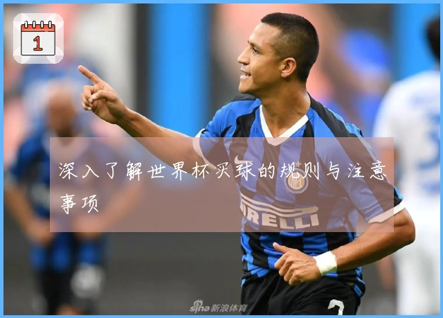 深入了解世界杯买球的规则与注意事项