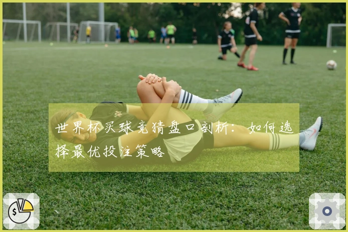 世界杯买球竞猜盘口剖析：如何选择最优投注策略